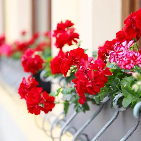 Ξενοδοχείο Zur Isar 3*