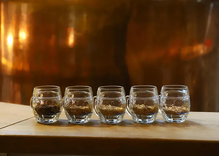 酒店 祖尔利萨酒店 3*