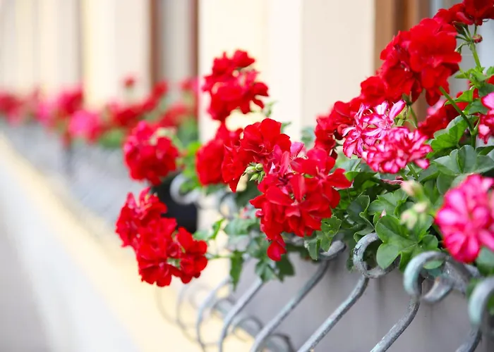 酒店 祖尔利萨酒店 3*