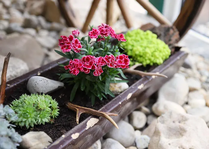 祖尔利萨酒店 3*