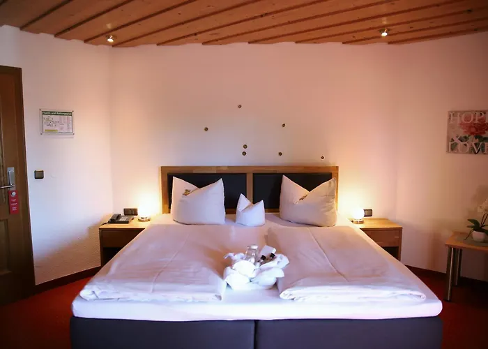 Hotel Zur Isar Plattling